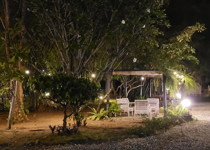 Cozy By Chanita สวนผึ้ง